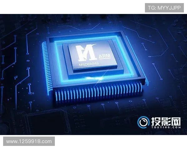 K1体育平台官网的用户评价：真实反馈与体验分享